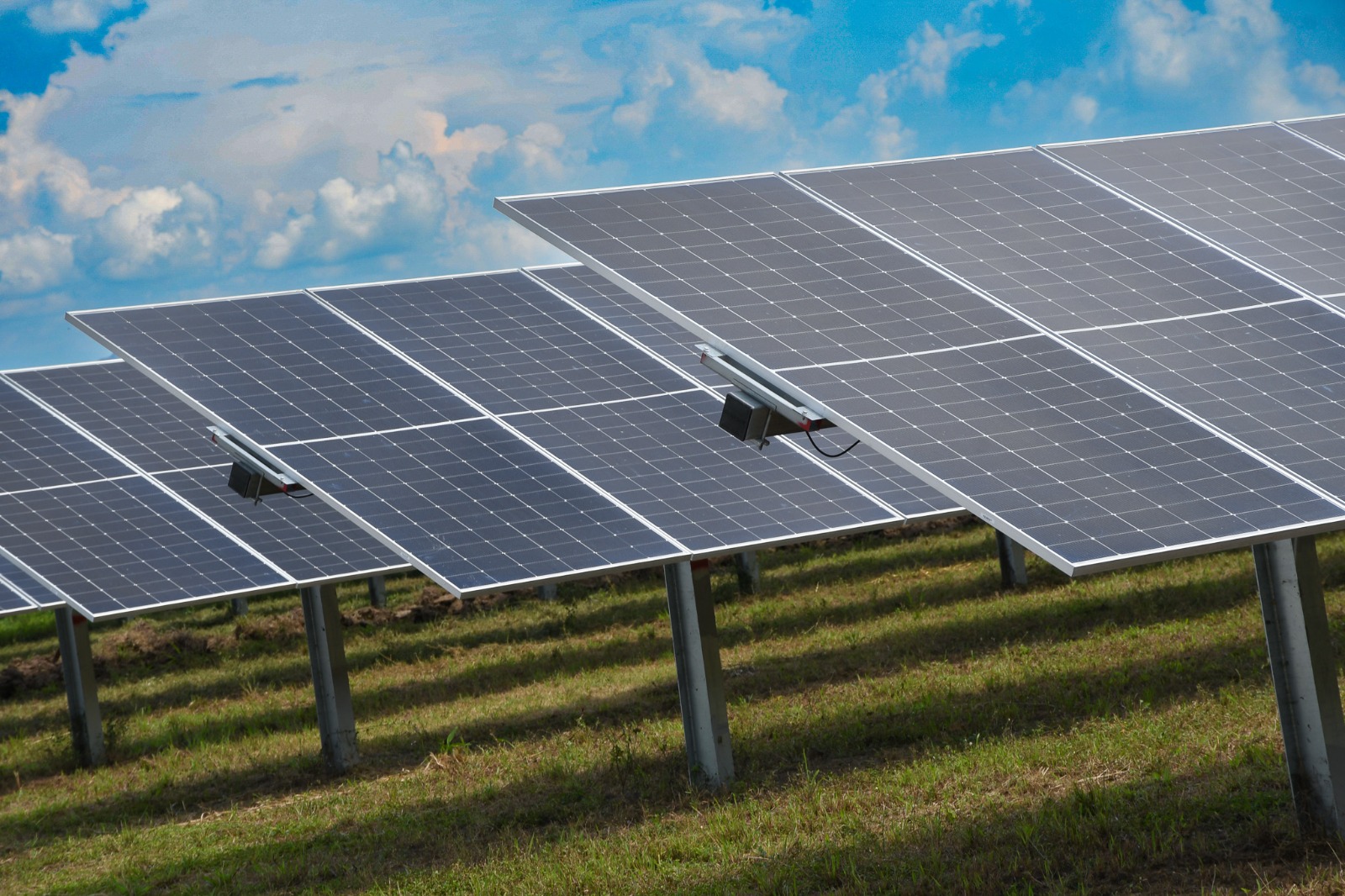 «La energía solar es clave para avanzar hacia un modelo energético más limpio en Tolima y Colombia”: directora de Cortolima