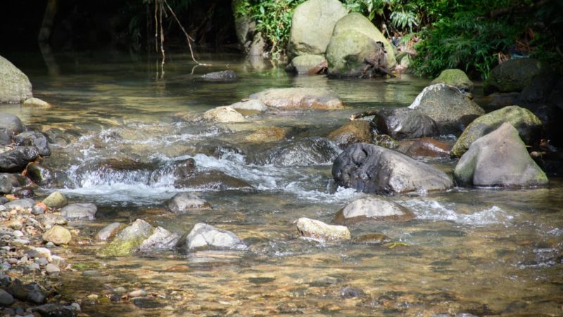 Río Chipalo de vuelta a la vida: Cortolima entregó histórica obra de descontaminación