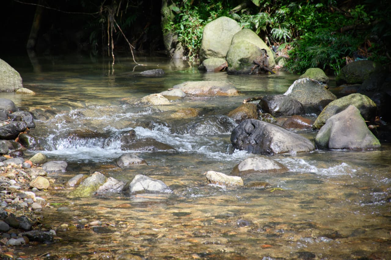 Río Chipalo de vuelta a la vida: Cortolima entregó histórica obra de descontaminación