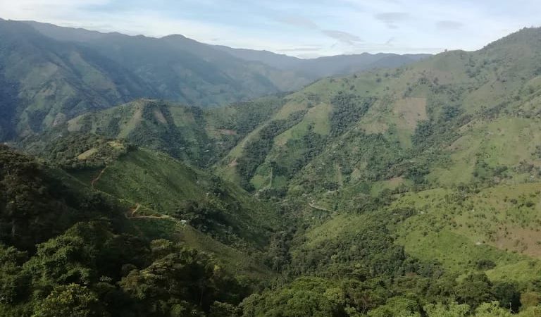 Parque Natural Regional Anaime-Chilí, una región estratégica para la protección de la cuenca del Río Coello
