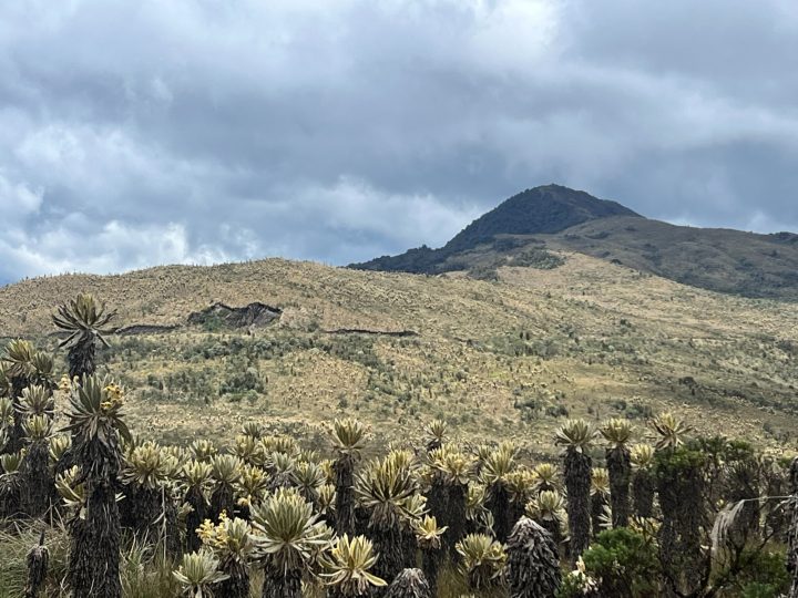 Parque Natural Regional Anaime-Chilí, una región estratégica para la protección de la cuenca del Río Coello