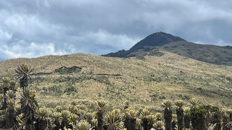 Parque Natural Regional Anaime-Chilí, una región estratégica para la protección de la cuenca del Río Coello