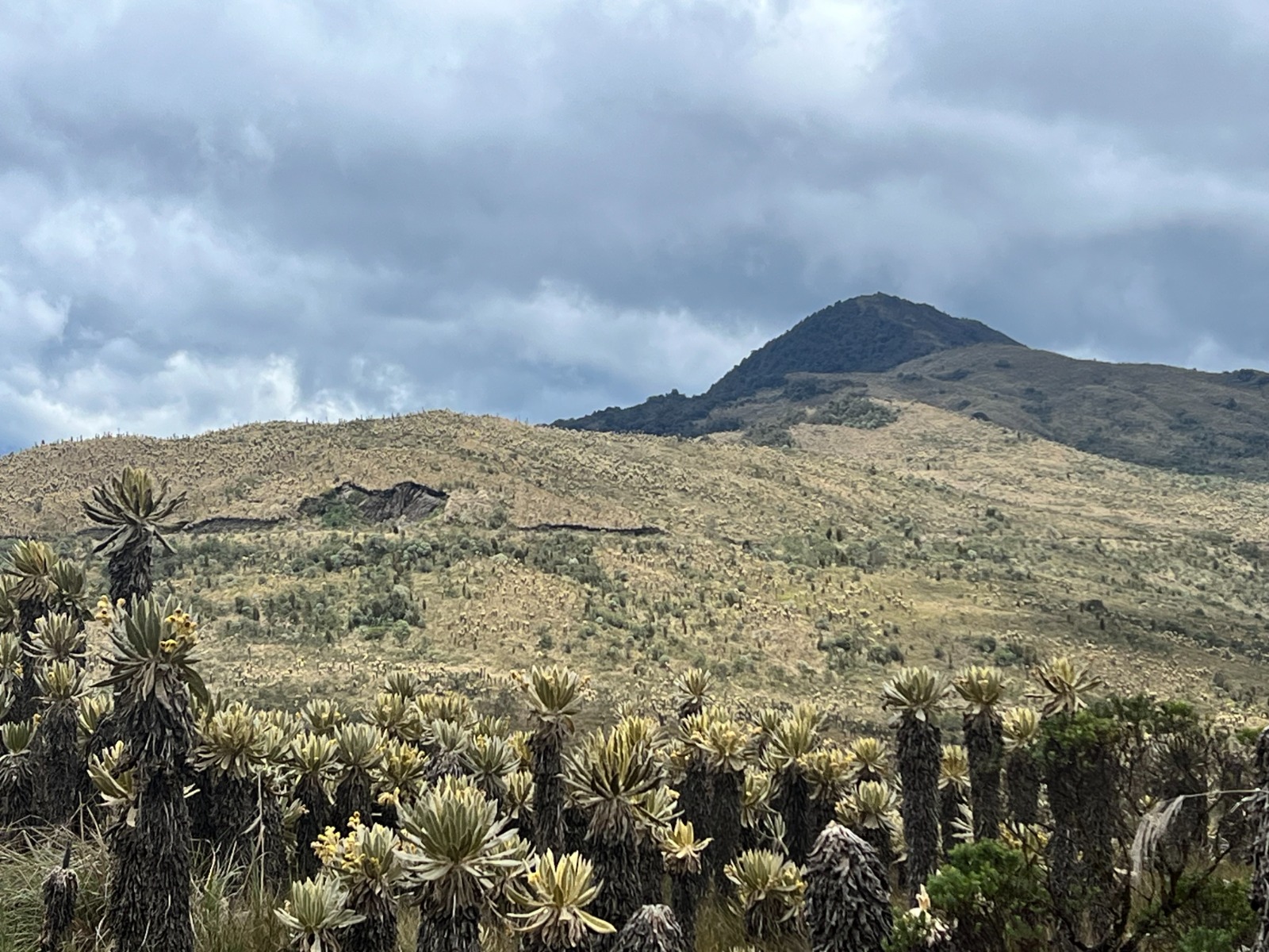 Parque Natural Regional Anaime-Chilí, una región estratégica para la protección de la cuenca del Río Coello