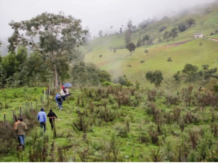 Cortolima logra aprobación de $14.787 millones para conservar zonas estratégicas con alto nivel de degradación ambiental