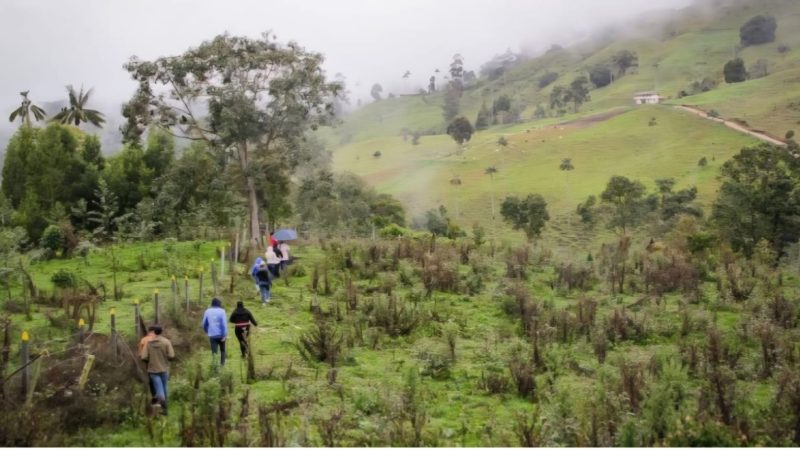 Cortolima logra aprobación de $14.787 millones para conservar zonas estratégicas con alto nivel de degradación ambiental