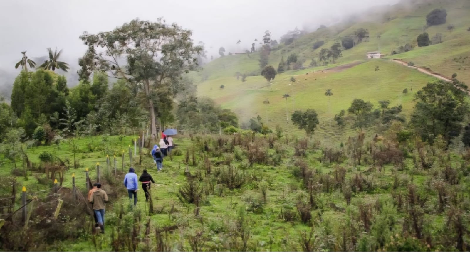 Cortolima logra aprobación de $14.787 millones para conservar zonas estratégicas con alto nivel de degradación ambiental