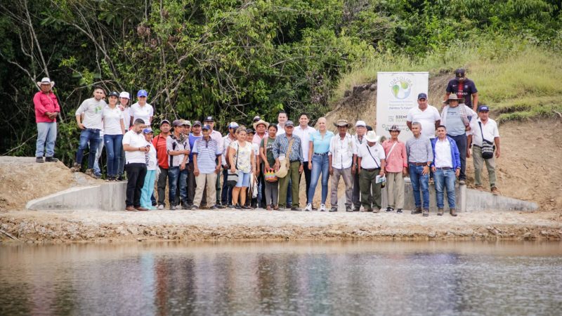 ¿Cómo se distribuyen los recursos de la sibretasa ambiental del Tolima?