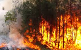 Ojo! Actúe con prevención. Siga las recomendaciones de Cortolima ante el fenómeno de El Niño