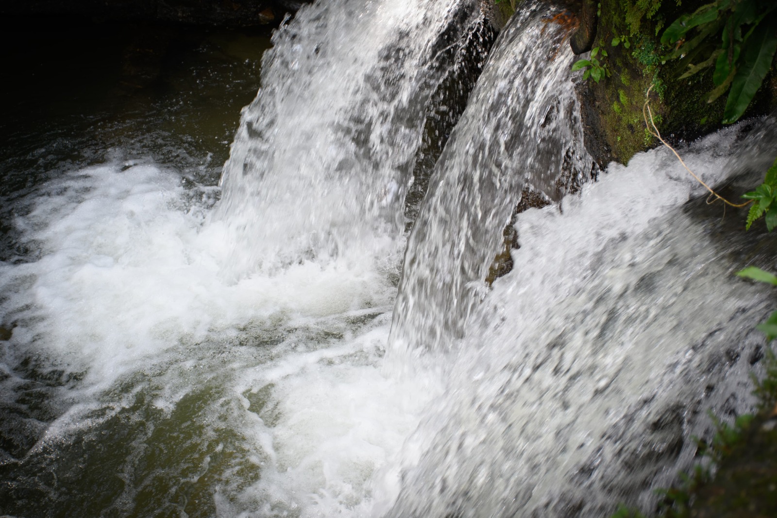 Cortolima invita a legalizar los pozos profundos para garantizar un uso responsable del agua